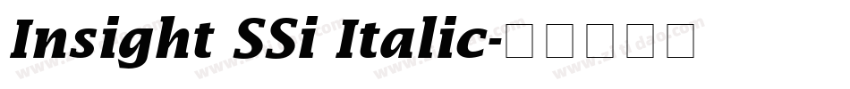 Insight SSi Italic字体转换
